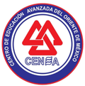 CENEA Virtual